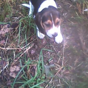 Meet your Posher, Diane